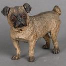 A beautiful Vienna cold painted bronze of a pug dog, circa 1890