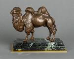 An unusual French camel bronze circa 1860